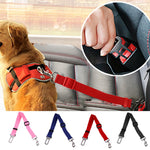 Vehicle Seatbelt Harness