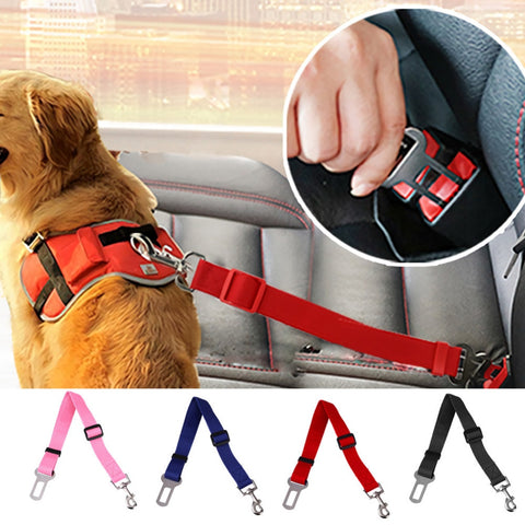 Vehicle Seatbelt Harness