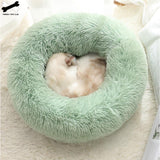 Snuggle Spot