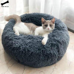 Snuggle Spot
