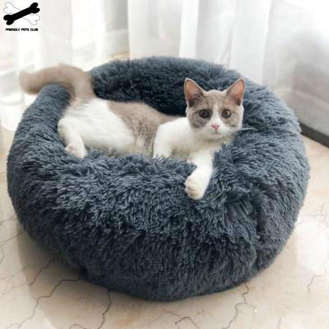 Snuggle Spot