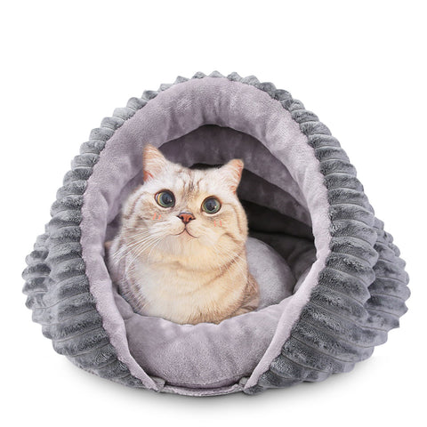 Conch Cat's Nest