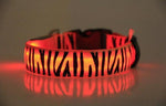 Leopard Nylon Dog Collar