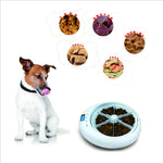 Smart Feeder