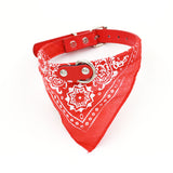 Pet Triangle Scarf