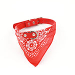 Pet Triangle Scarf