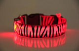 Leopard Nylon Dog Collar
