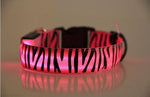 Leopard Nylon Dog Collar