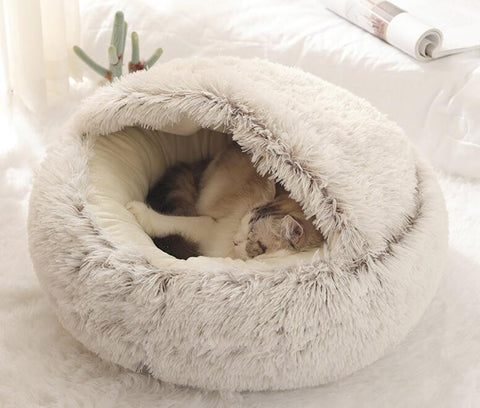 Dreamy Pet Beds