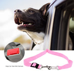 Vehicle Seatbelt Harness