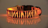 Leopard Nylon Dog Collar