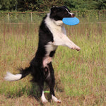 Pet Interactive Training Frisbee