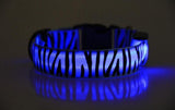 Leopard Nylon Dog Collar