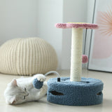 Cat Scratching Board