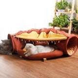 Cat Tunnel