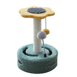 Cat Scratching Board