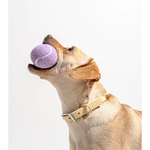 Tennis Cup Toy
