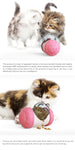 Pet Food Spiller