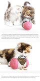 Pet Food Spiller