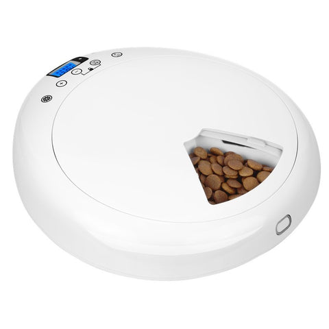 Smart Feeder