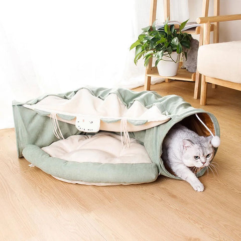 Cat Tunnel