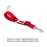 Vehicle Seatbelt Harness