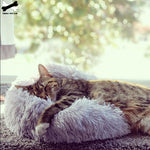 Snuggle Spot