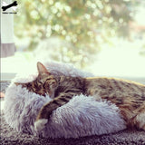 Snuggle Spot