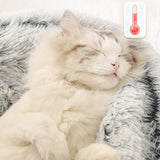 Dreamy Pet Beds