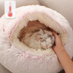 Dreamy Pet Beds