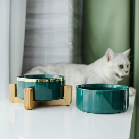 Meow Bowls