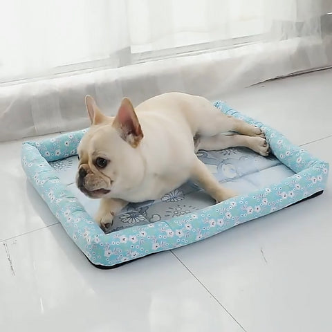 Arctic Paw Palace