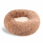 Fall Furry Funland