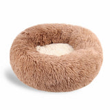 Fall Furry Funland