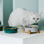 Meow Bowls