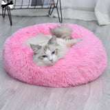 Snuggle Spot