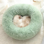 Snuggle Spot