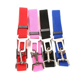 Vehicle Seatbelt Harness