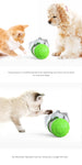 Pet Food Spiller