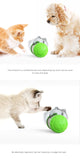 Pet Food Spiller