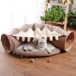 Cat Tunnel
