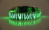 Leopard Nylon Dog Collar