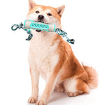 Pet Dog ToothBrush