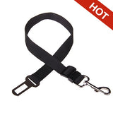 Pet Vehicle Seat Belt Leash