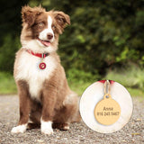 Paw Engraved Pet ID Tag With FREE Gift