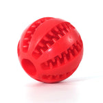 Pet Chew Ball