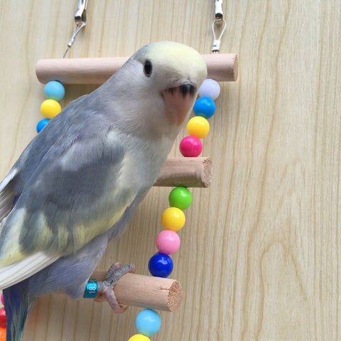 Birds Ladder