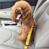 Pet Vehicle Seat Belt Leash