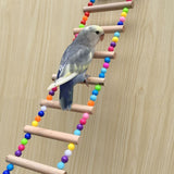 Birds Ladder