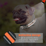 Personalized Pet Collar